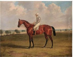 Mr. Robertson's Little Wonder With W. Macdonald Up
