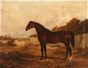 Mr. Watt's Blacklock In A Landscape