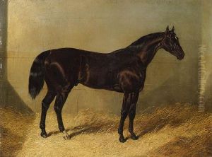 The Saddler, A Dark Bay Racehorse, In A Stable