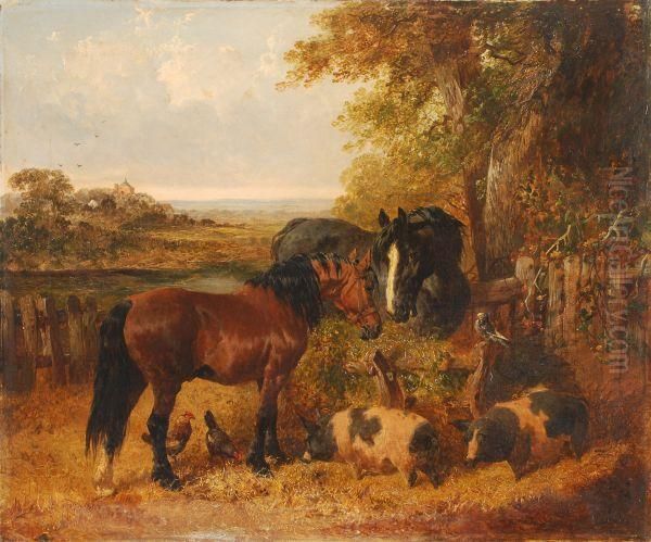 Pigs - view 1