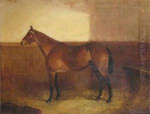 A Chestnut Hunter In A Stable