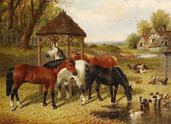 Horses And Ducks In A Farmyard - view 1