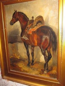 A Study Of A Horse With A Spainishsaddle
