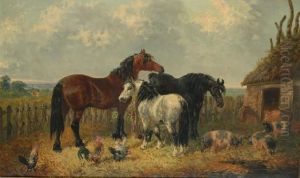 Horses Infarmyard