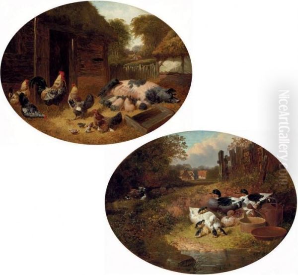 Pigs And Chickens In A Farmyard - view 1