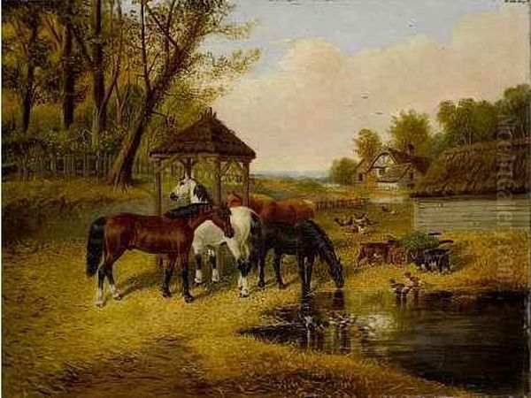 Pferde, Ziegen, Huhner Und Enten An Einem - view 1