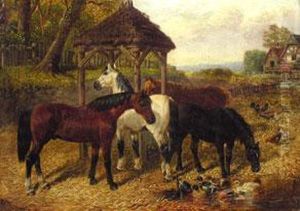 Pferde Auf Der Koppel
