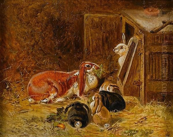 Study Of Rabbits - view 1