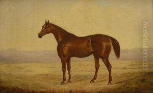 Portrait Of A Hunter In Landscape