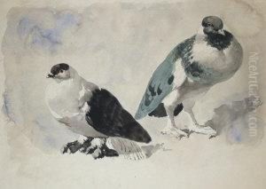 Study Of Pigeons by John Frederick Herring Snr