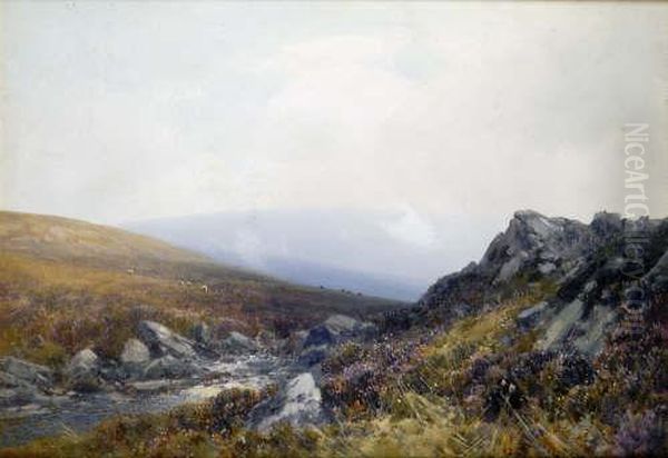 Extensive Moorland Scene Scene With Sheep. - view 1