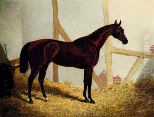 Mr. John Bowe's Bay Colt Cotherstone