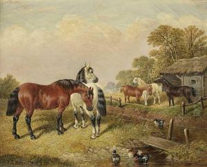 Pferde Auf Der Koppel Am Ententeich by John Frederick Herring Snr