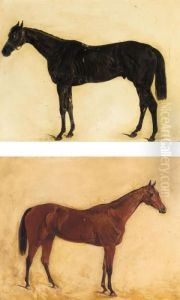 Portrait Of Blue Bonnet; And A Portrait Of Eryx