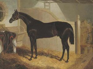 Faugh-a-ballagh, Winner Of The St. Leger by John Frederick Herring Snr