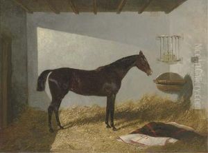 Calico, A Bay Hunter In A Stall by John Frederick Herring Snr
