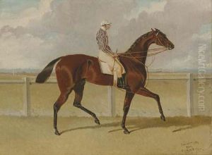 Chorister, With Jockey Up, At Six Mile Bottom