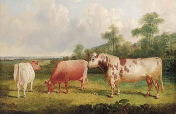 A Bull And Cows In A Wooded Landscape - view 1