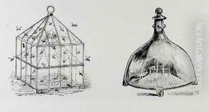 Wasp and fly traps from Thomas Mawsons The Art and Craft of Garden Making by Thomas Hayton Mawson