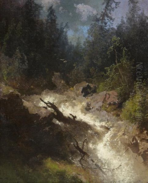 Rushing Brook - view 1