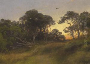 The Oaks At Sunset, Florida by Herman Herzog