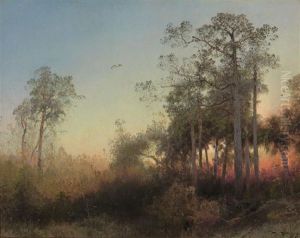 "sunset With Deer", Florida