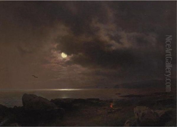 A Bonfire In The Moonlight - view 1