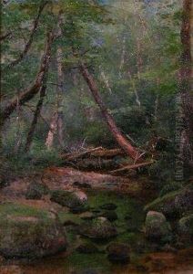 Shaded Woodland Stream by Herman Herzog