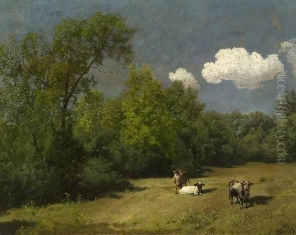 Country Landscape - view 1