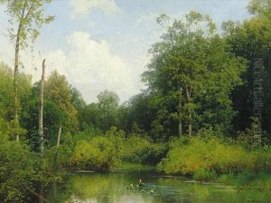 Forest Landscape With Pond And Ducks