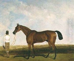 A groom leading a bay racehorse