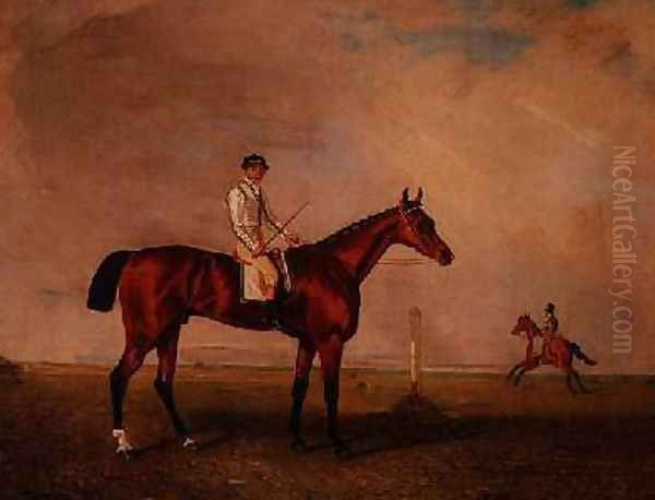 Bay racehorse with jockey on a racecourse - view 1