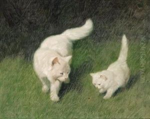 Dermarienkafer