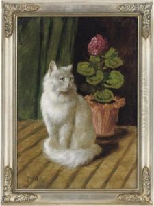 A White Cat With Geraniums