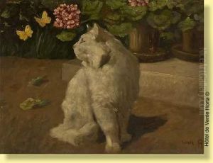 Chat Et Papillons