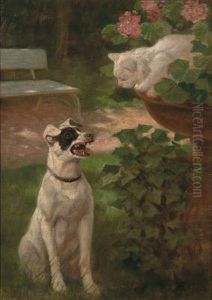 The Curious Cat