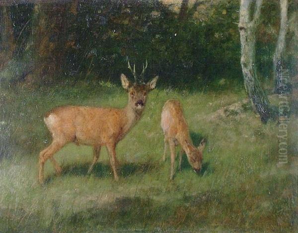Deer In A Wood - view 1