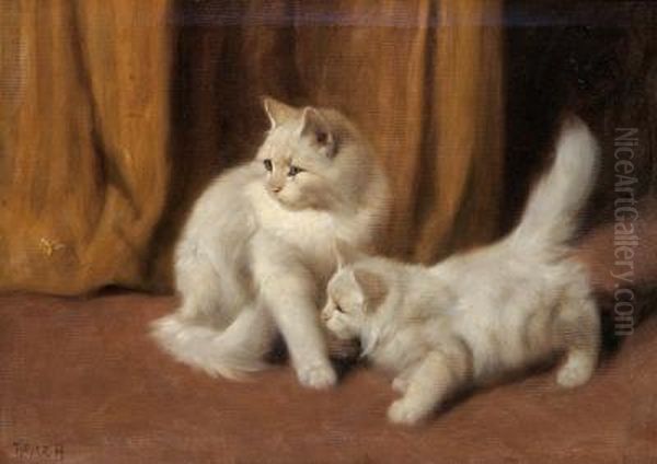 Two White Kittens And A Bee - view 1