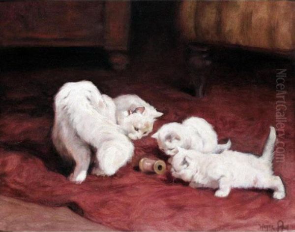 Kittens Playing With A Cotton Reel - view 1