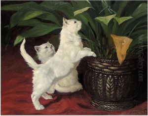 Curiosity Curiosity