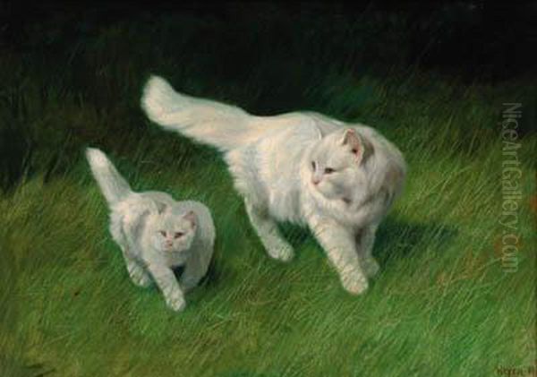 Two Cats - view 1