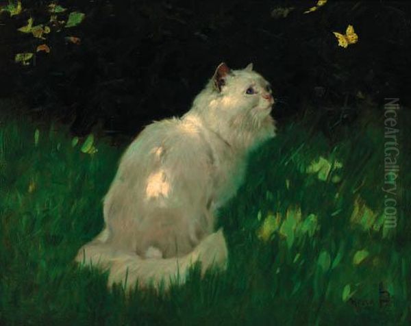 A White Persian Cat Look At A Butterfly - view 1