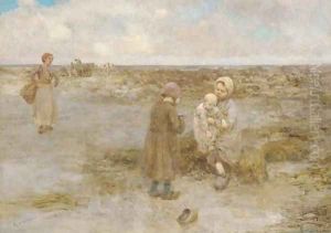 A curiosity of the beach by Robert McGregor
