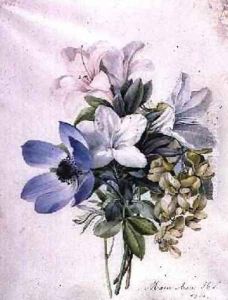 Anemone wisteria and laburnum by Marie-Anne