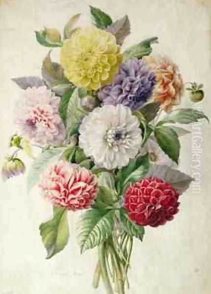Dahlias - view 1