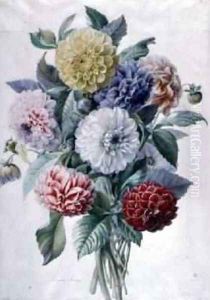 Dahlia by Marie-Anne