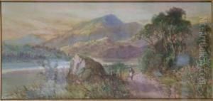 Near Harlech, Wales - Near Harlech, Wales -