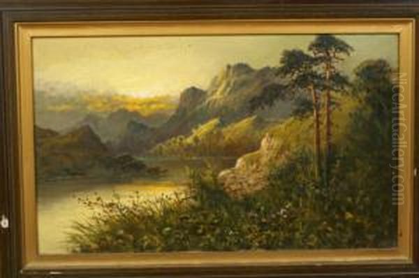 Highland Solitude by Frank Hider
