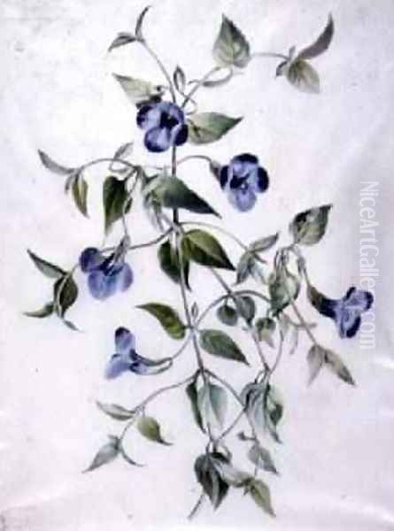Flower Pieces 4 - view 1