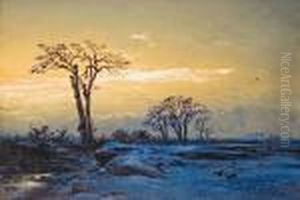 Abendlichiche Winterlandschaft